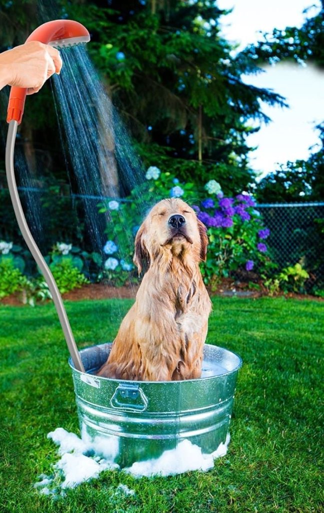 dog'bathing