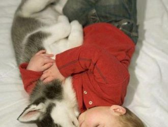 puppy and baby