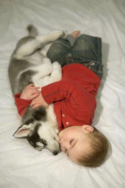 puppy and baby