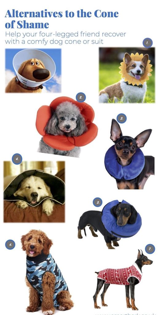 clothing for sick or recovering dogs