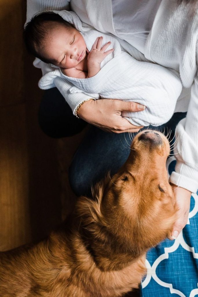 puppy with baby