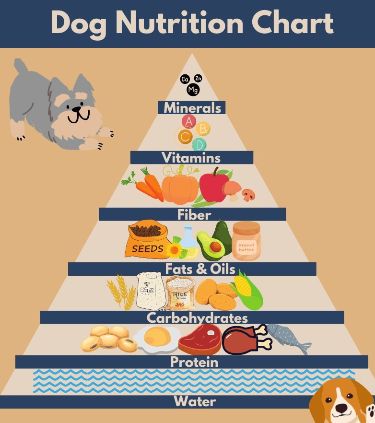 dog nutrition chart