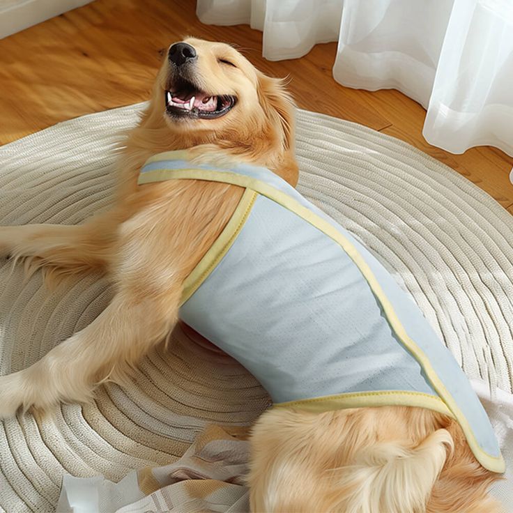 dog''s clothes to reduce allergens