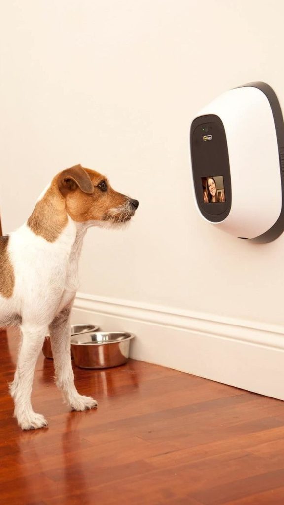 Interactive Pet Camera