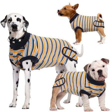 Puppies and Seniors: clothing for dog