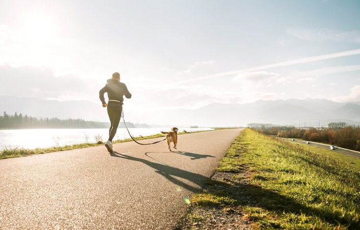 Running and Jogging with your dog