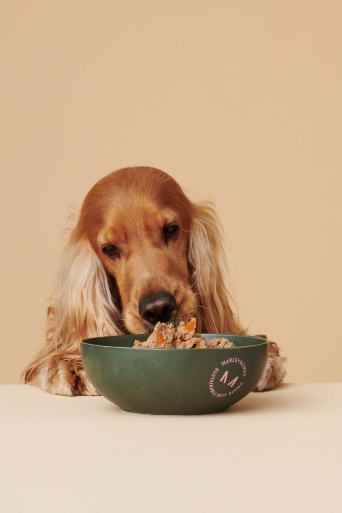 Hydrolyzed Protein Diets for dogs