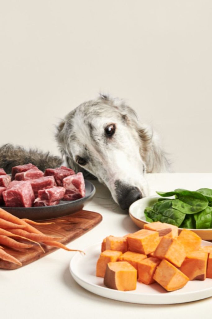 Limited Ingredient Diets (LIDs) for dogs