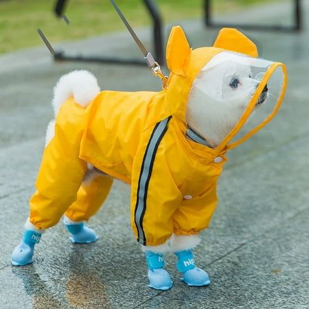 Waterproof jackets and booties for dogs