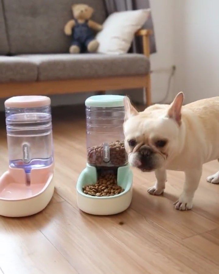 Automatic Pet feeder dispenser for your cat and dog