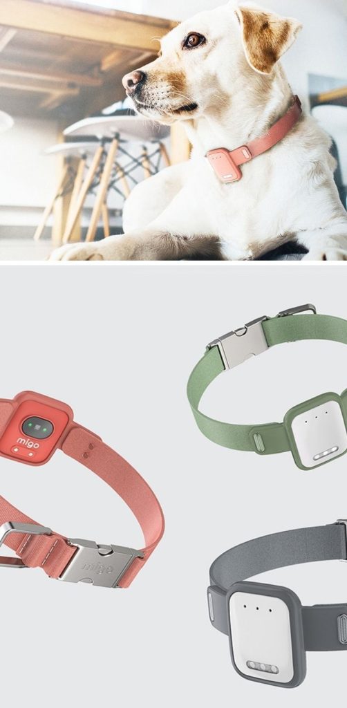 Health and Wellness Devices for dogs