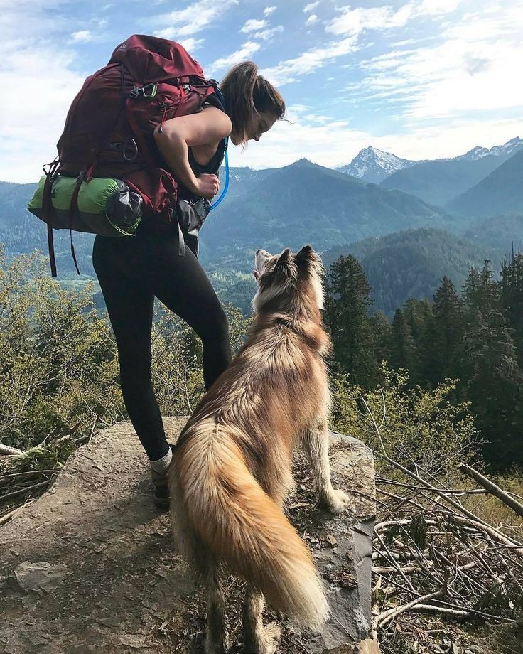 Hiking with your dog