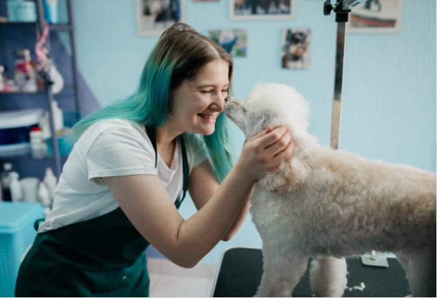 Professional dog groomer